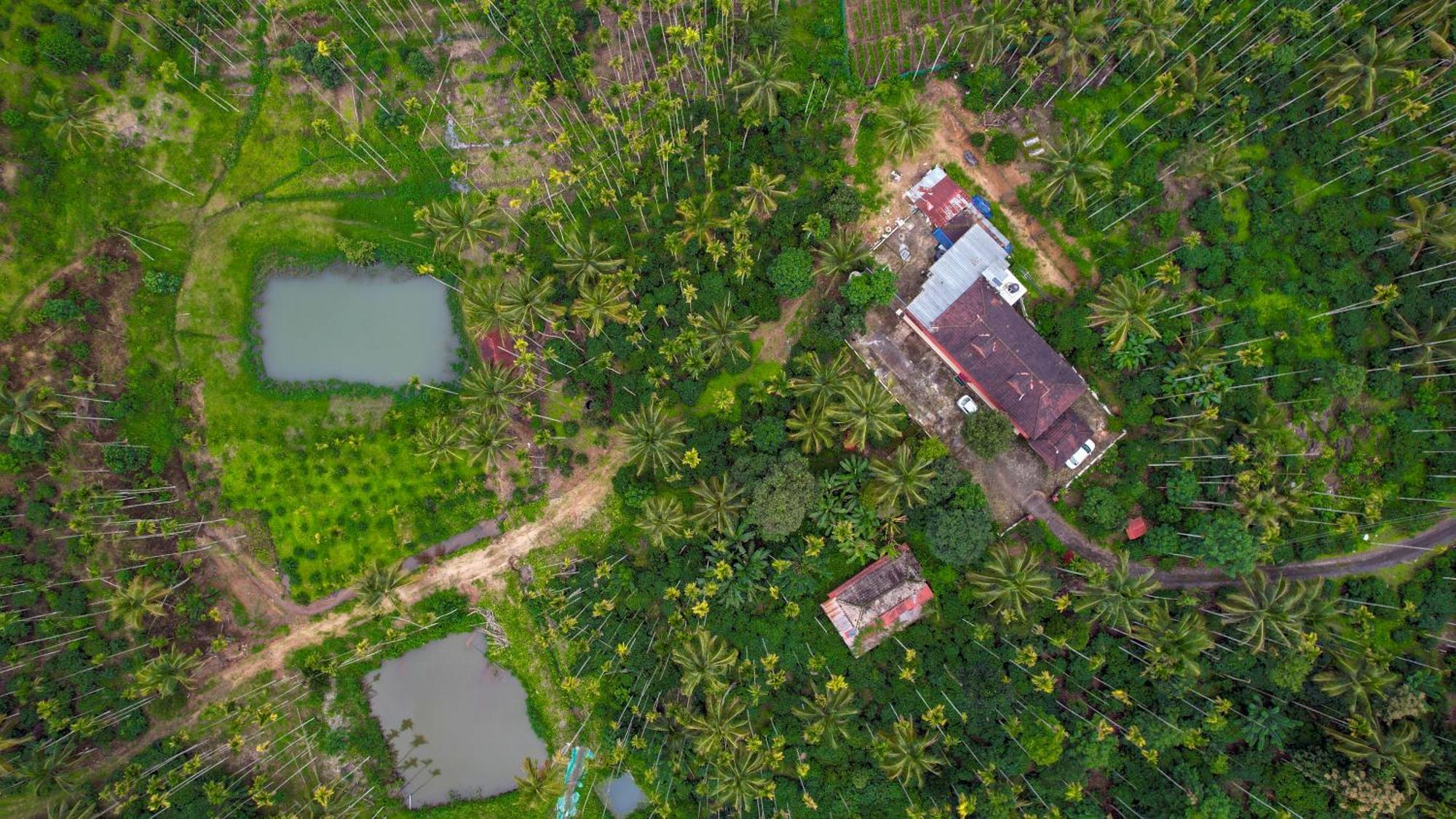Wayanad Palm Grove Retreat G Floor Apartment Sultan Bathery Exterior photo