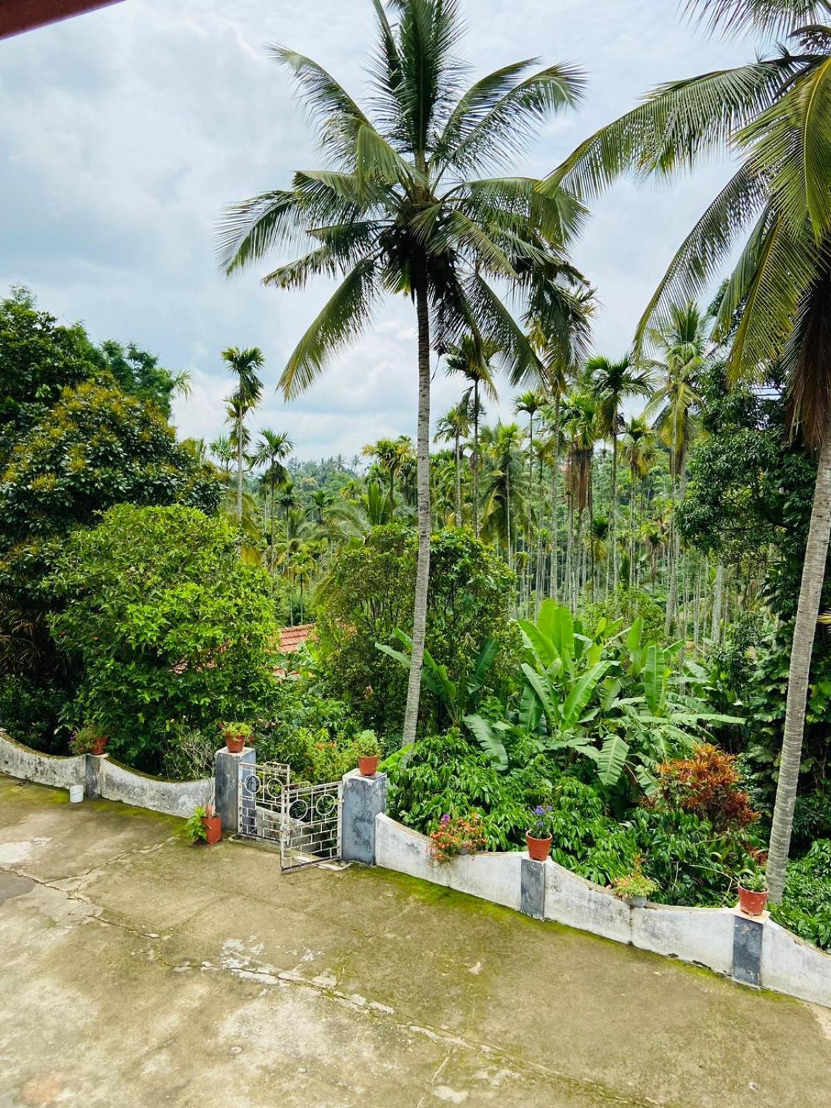 Wayanad Palm Grove Retreat G Floor Apartment Sultan Bathery Exterior photo